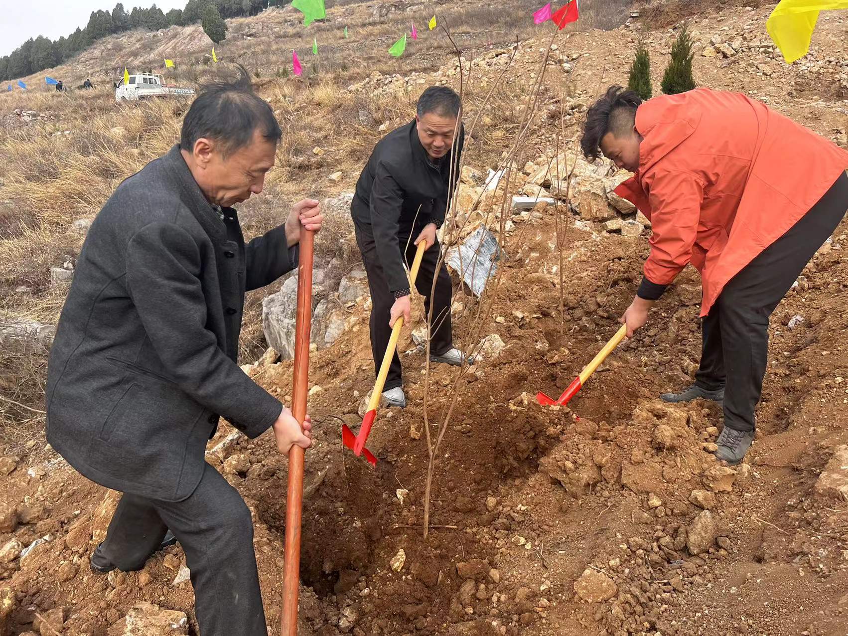 章丘区公司开展2022年植树节活动(图5)