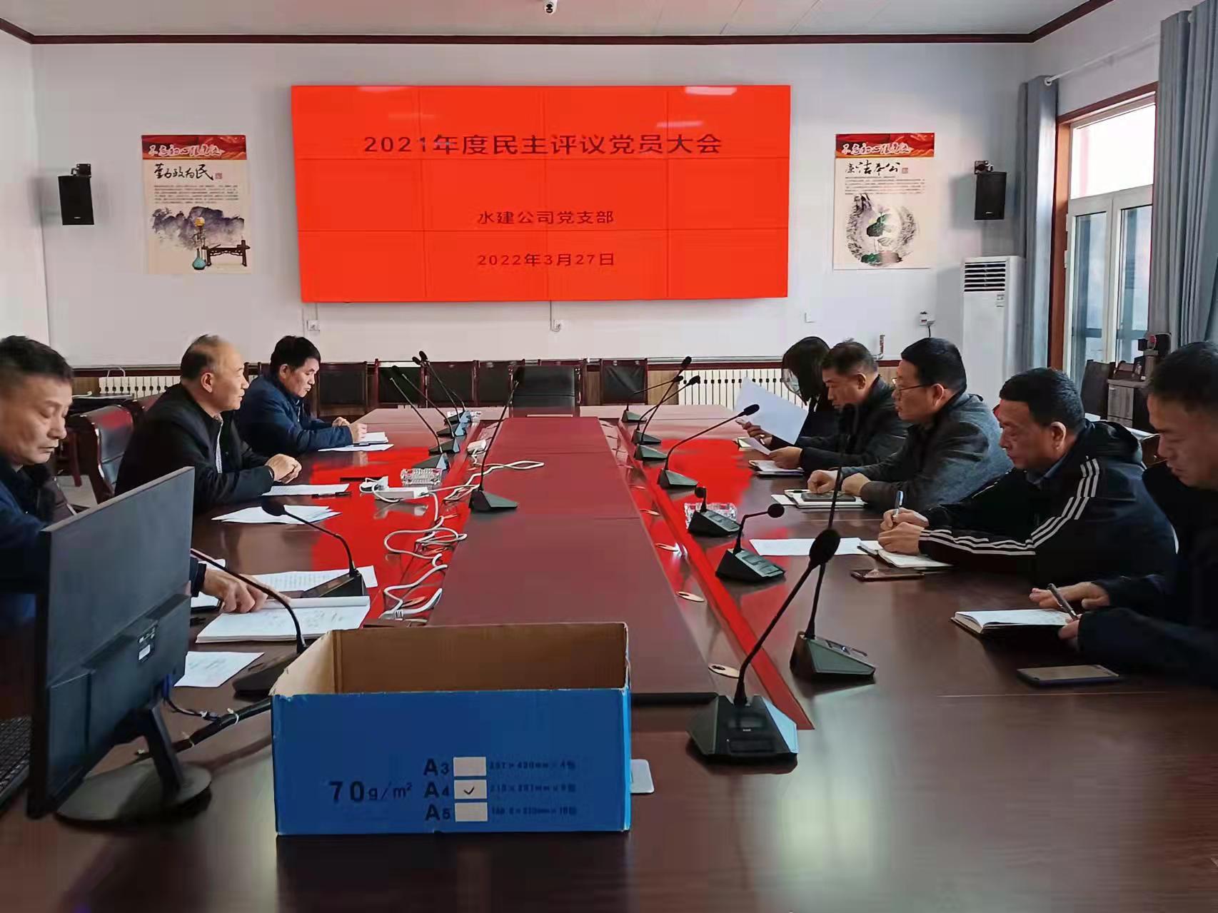 水建公司党支部2021年度组织生活会和民主评议党员大会(图2)