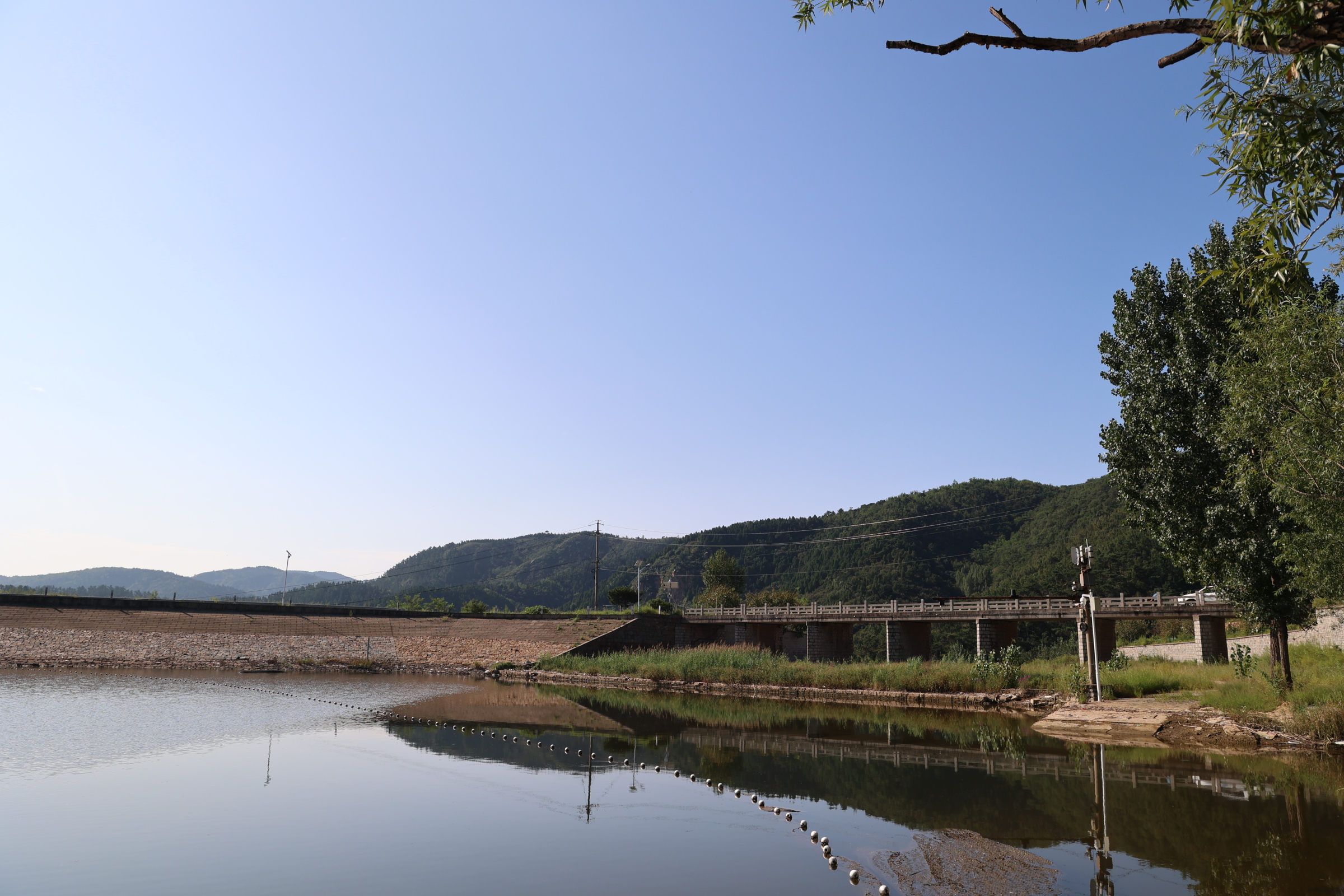 GS4A0818.JPG