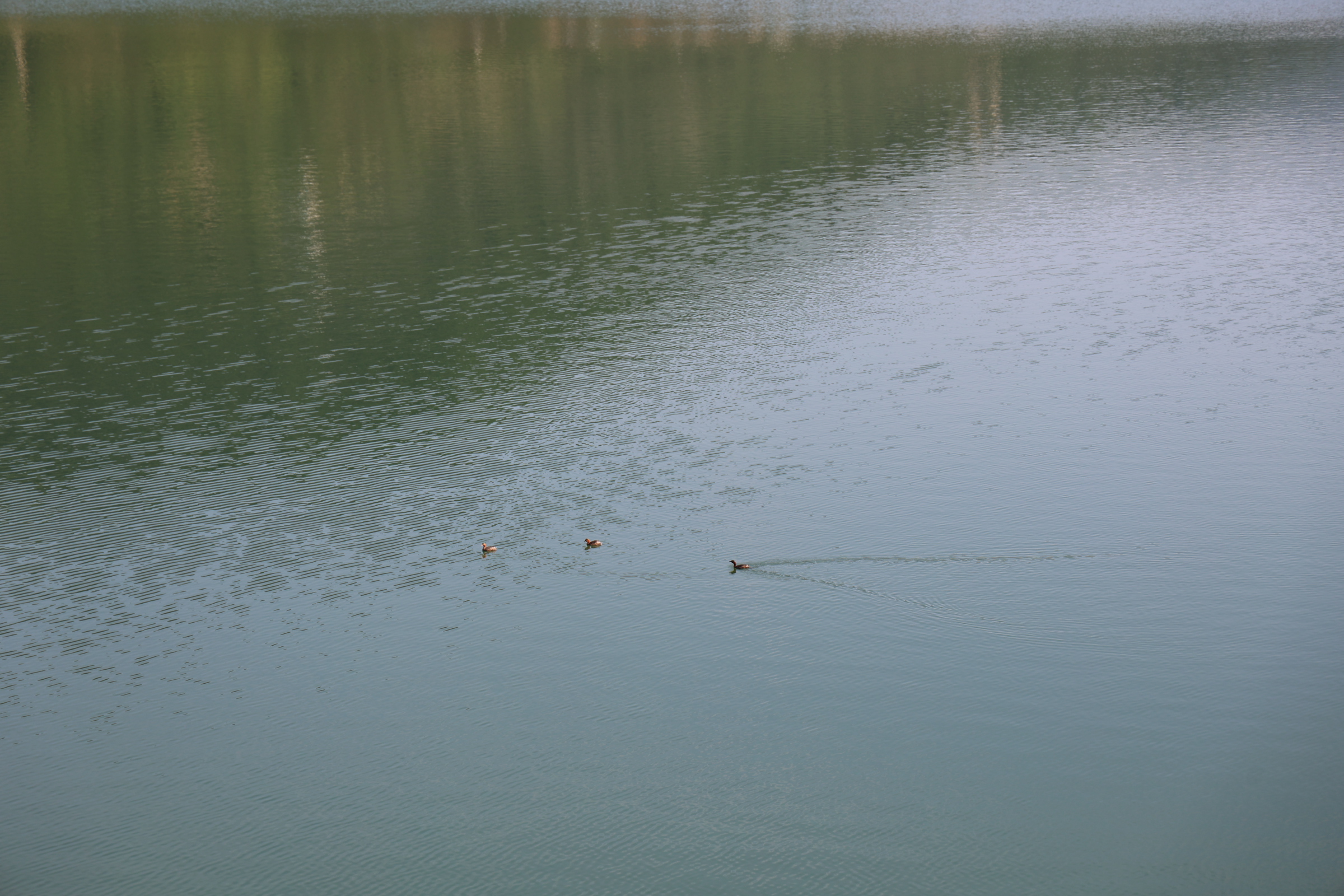 GS4A0969.JPG