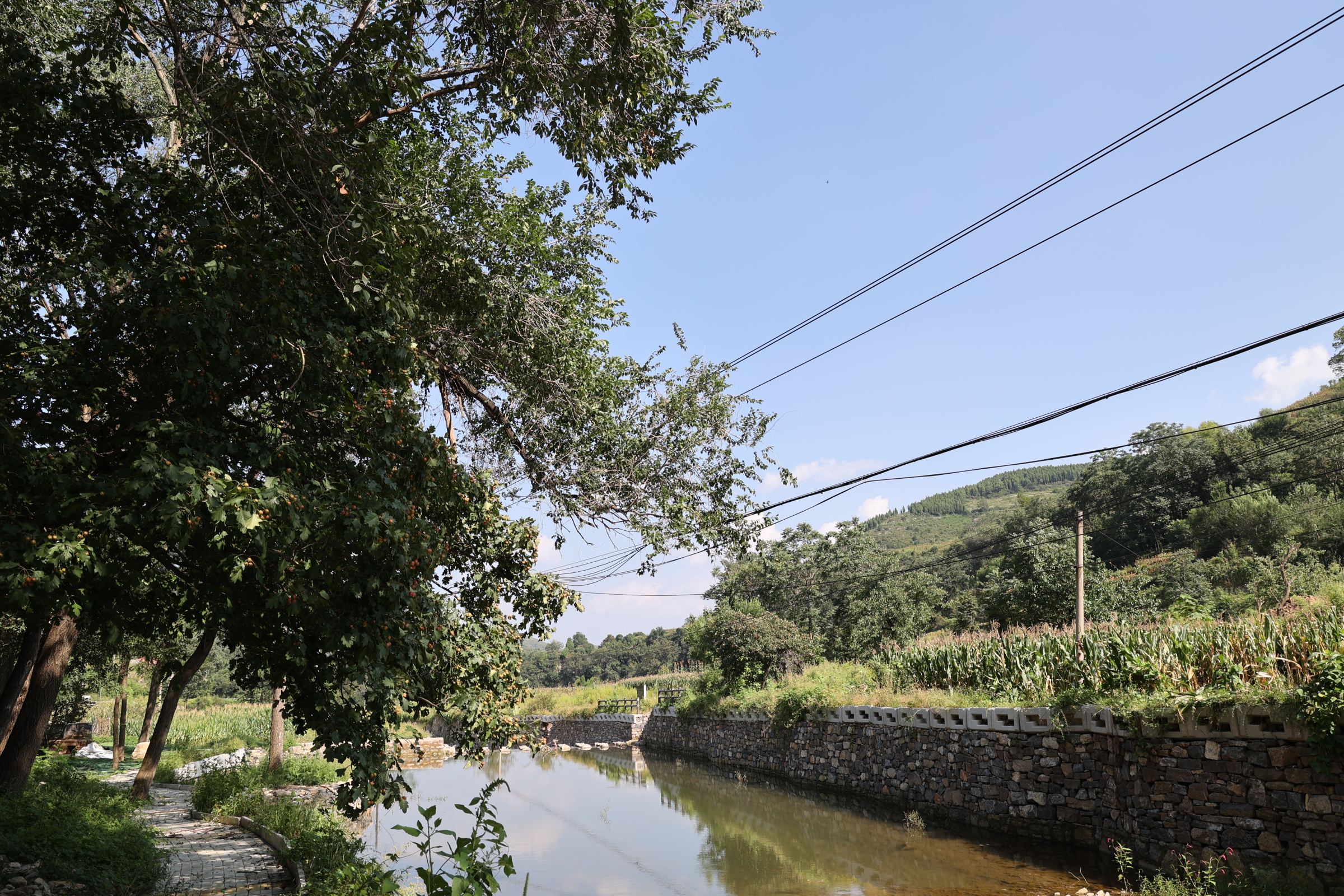 GS4A0916.JPG