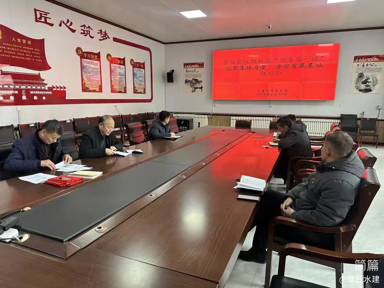 【红心向党  人水和谐】水建公司党支部开展2025年2月份主题党日活动(图3)