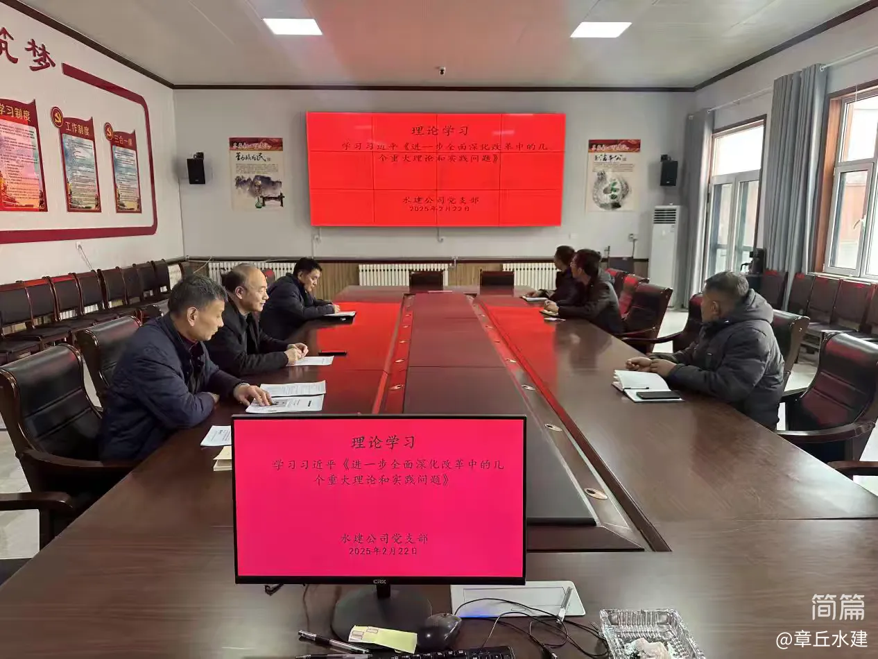 【红心向党  人水和谐】水建公司党支部开展2025年2月份主题党日活动(图4)