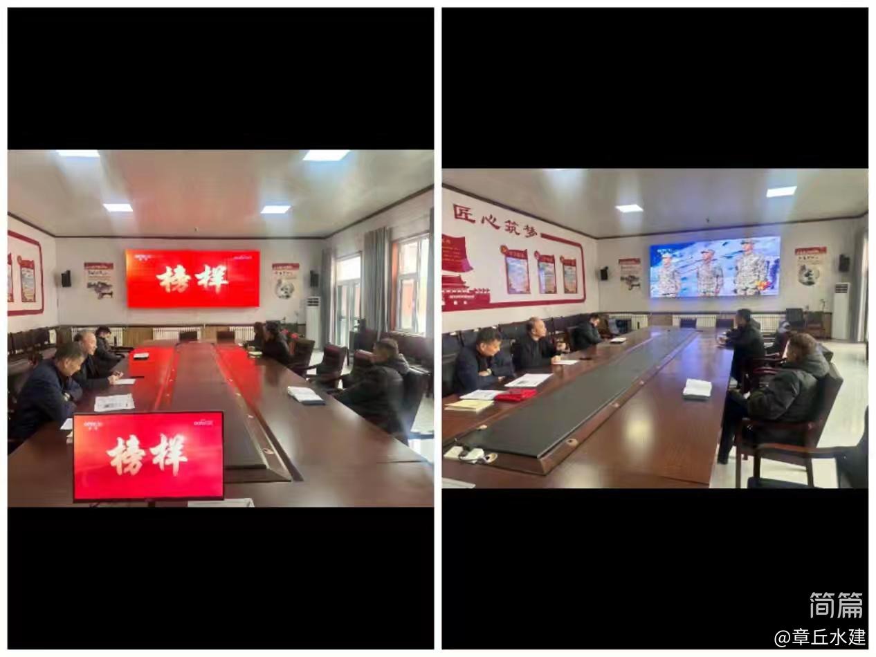 【红心向党  人水和谐】水建公司党支部开展2025年2月份主题党日活动(图6)