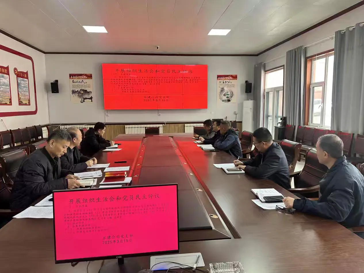 【红心向党  人水和谐】水建公司党支部开展2025年3月份主题党日活动(图4)