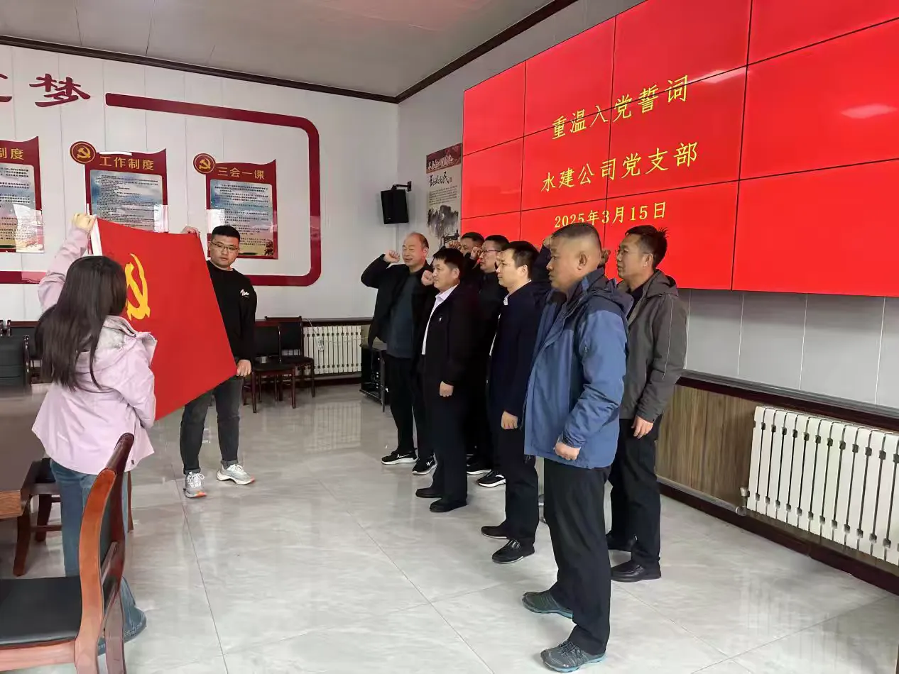 【红心向党  人水和谐】水建公司党支部开展2025年3月份主题党日活动(图2)