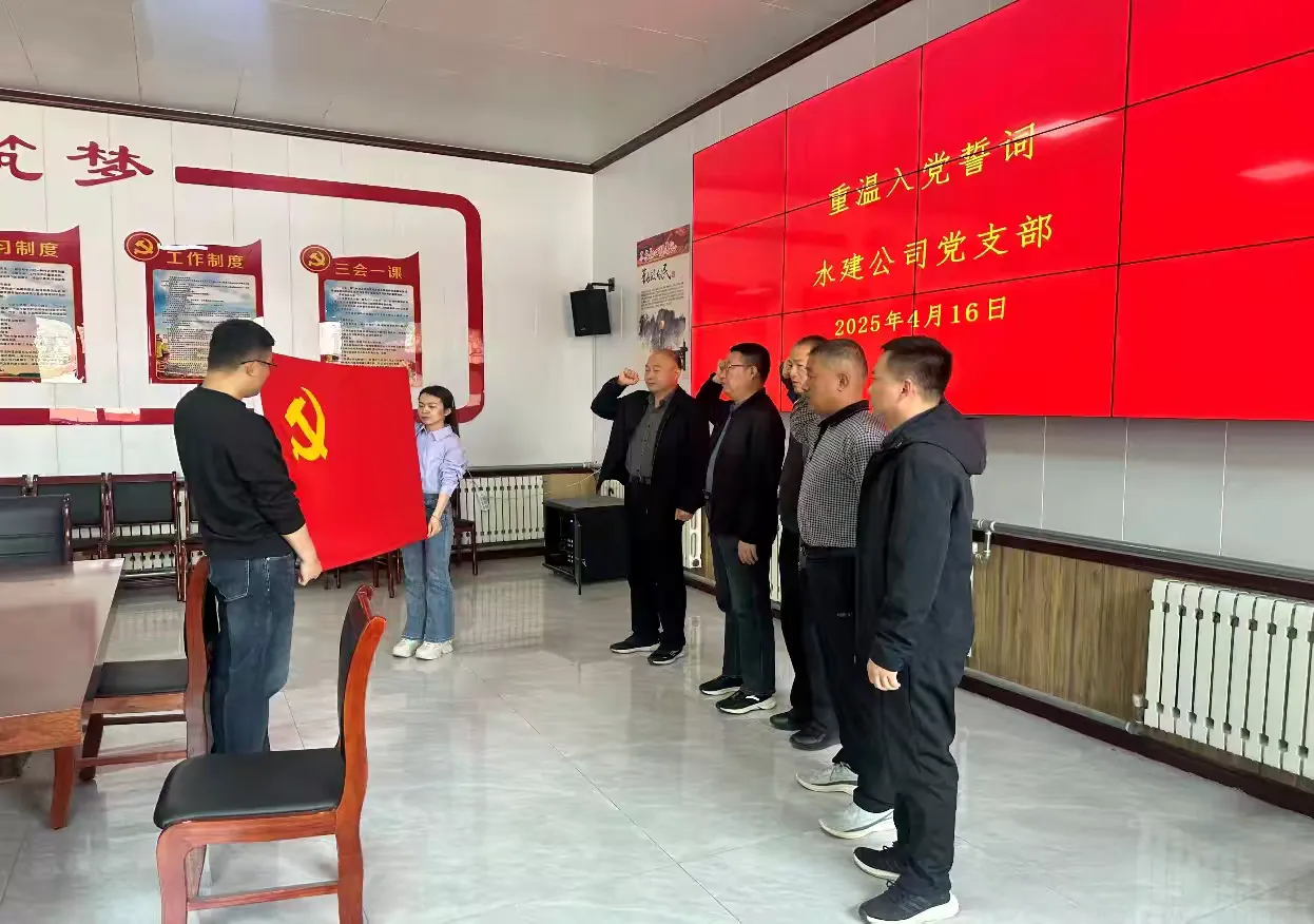 【红心向党  人水和谐】水建公司党支部开展2025年4月份主题党日活动(图2)
