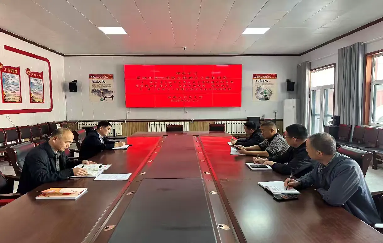 【红心向党  人水和谐】水建公司党支部开展2025年4月份主题党日活动(图3)